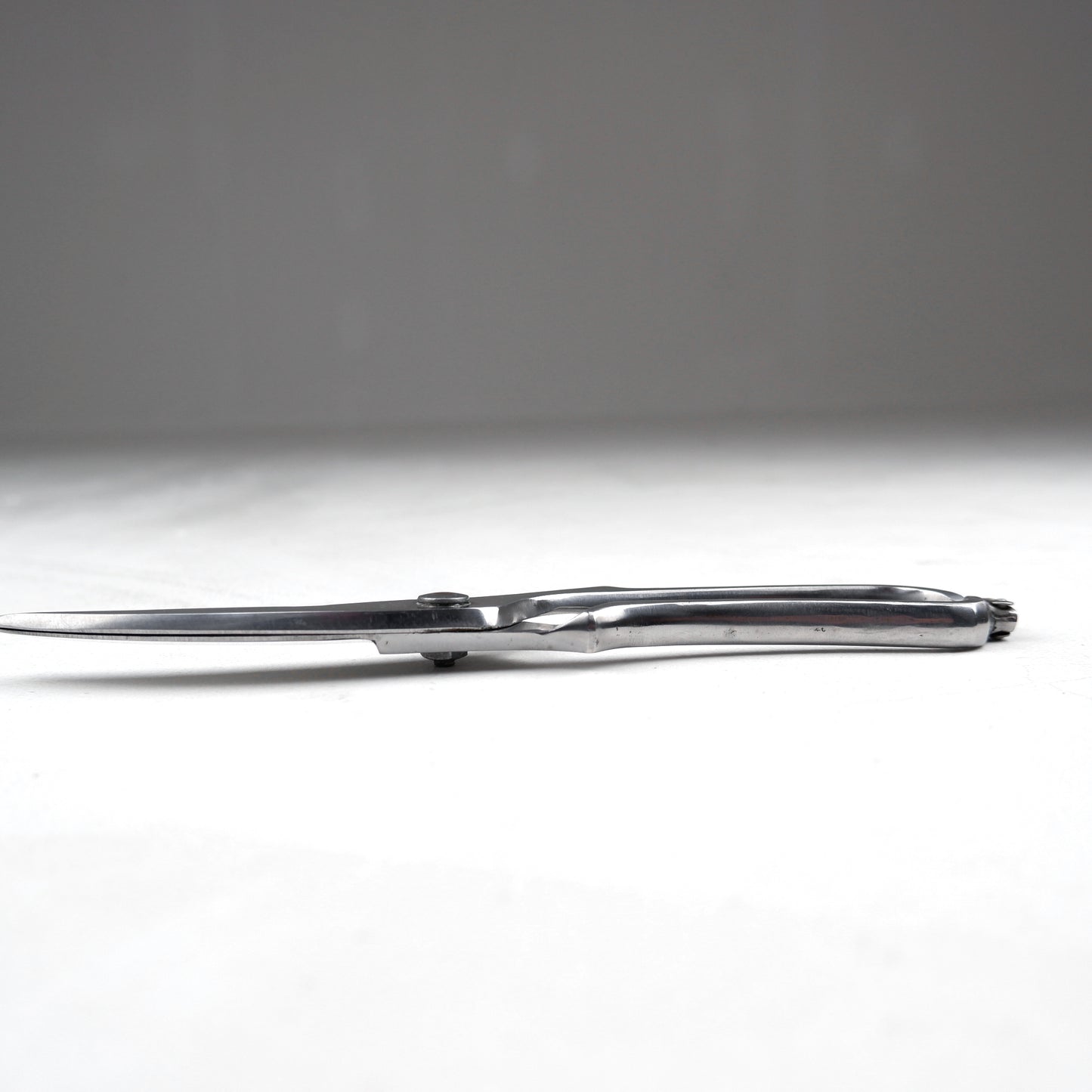 Vintage Poultry Sheers NABEL Inox - Stainless Steel