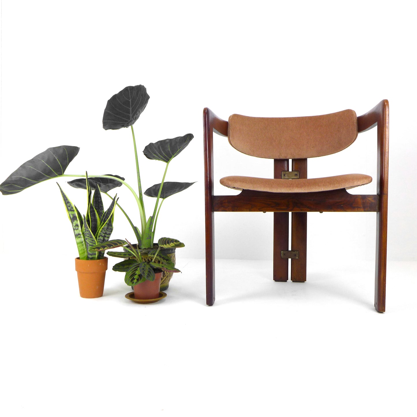 Tobia Scarpa "Pigreco" Chair circa 1956 for Gavina - Italian Mid Century Classic